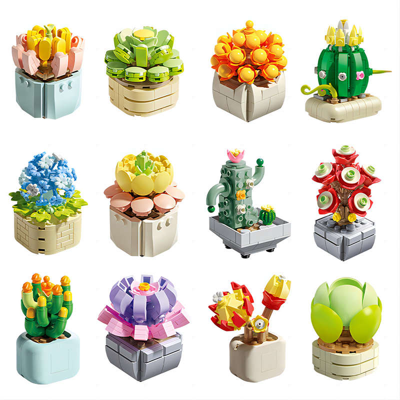 Feelo - Succulent Pot Plants - Set Of 12 - 1051 Pieces