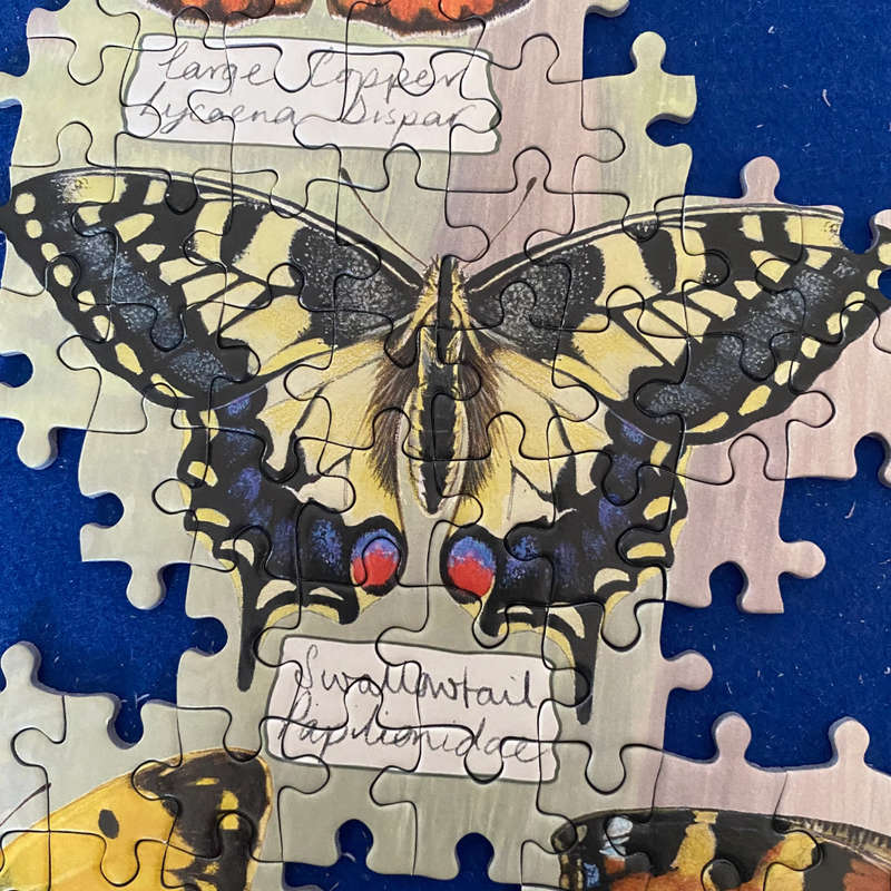 Gibsons - Beautiful Butterflies - Jigsaw Puzzle - 1000pcs