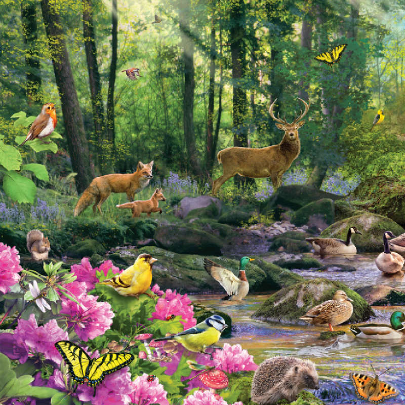 Gibsons - Woodland Glade - Jigsaw Puzzle - 1000pcs