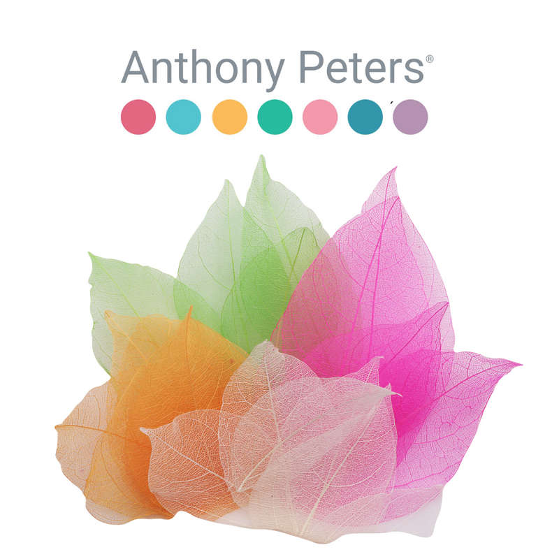 Anthony Peters - Skeleton Leaves - Bumper Assortment - 300pcs