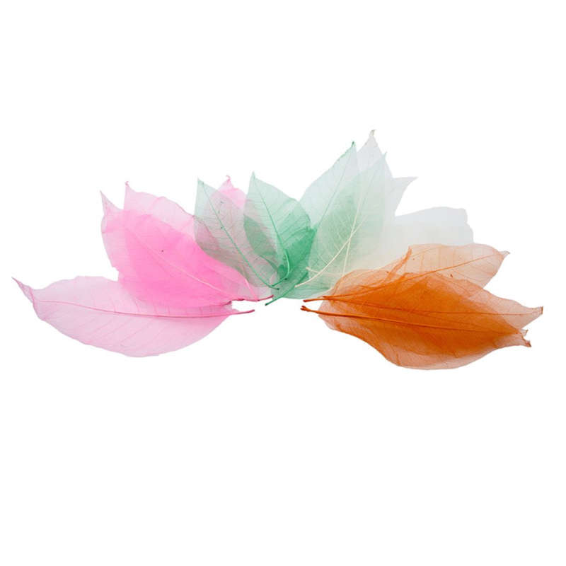 Anthony Peters - Skeleton Leaves - Bumper Assortment - 300pcs