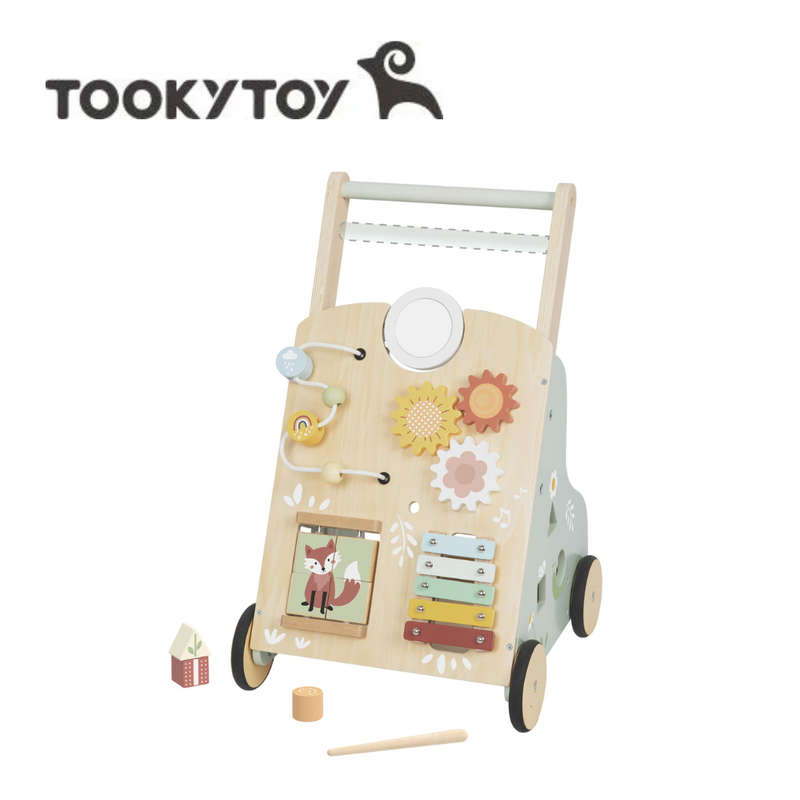 TookyToy - Multi-Activity Baby Walker with Bead Maze & Xylophone