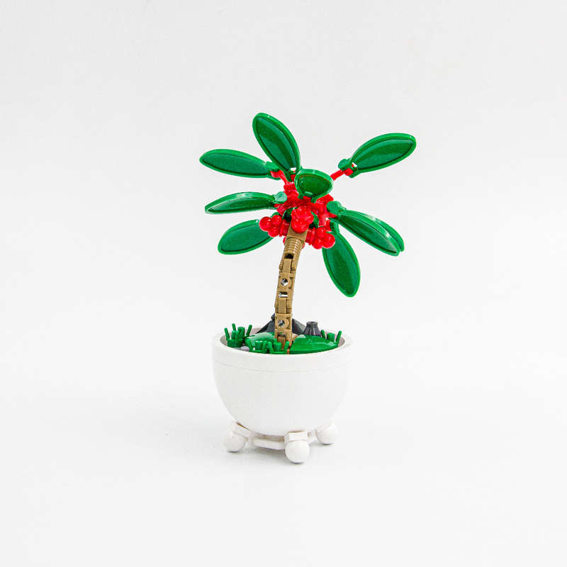 Sluban - Pleyerid - Potted Plants