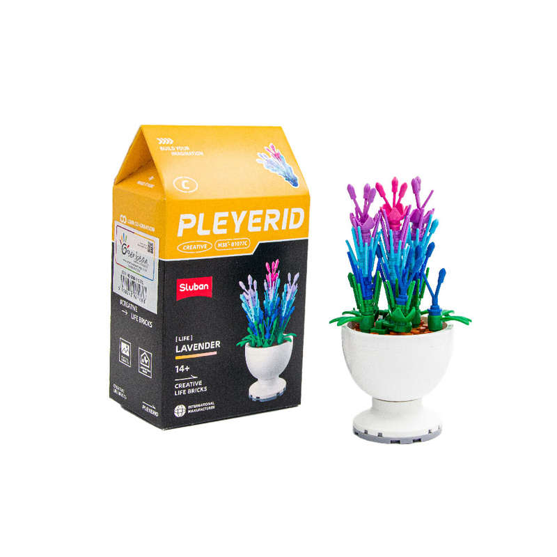 Sluban - Pleyerid - Potted Flowers
