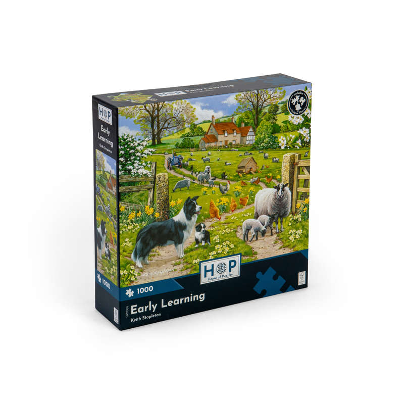 House of Puzzles - Early Learning - 1000 Piece Jigsaw Puzzle