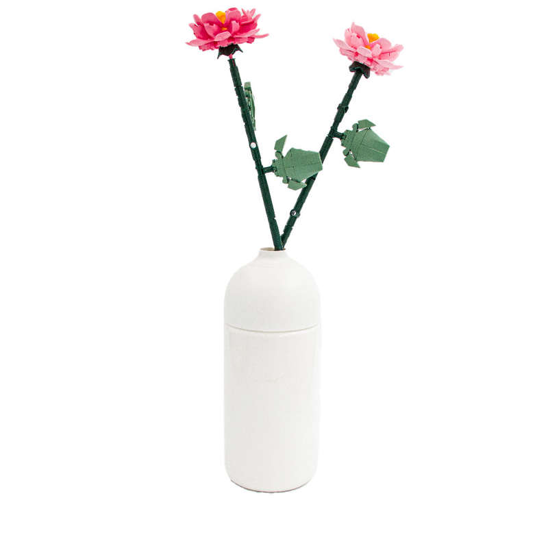 Sluban - Pleyerid - Flowers - Peonies - 224pcs
