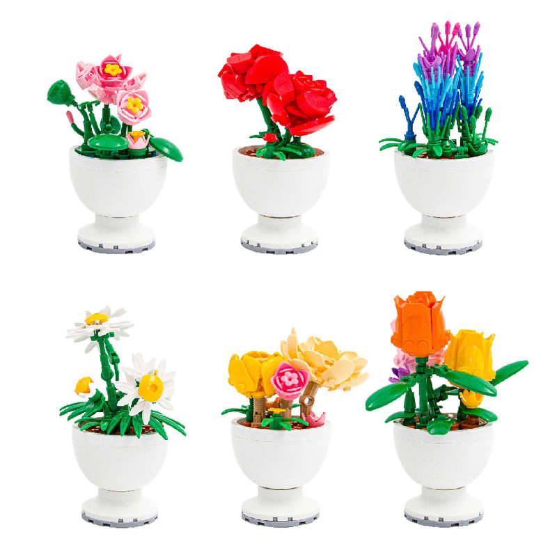 Sluban - Pleyerid - Potted Flowers