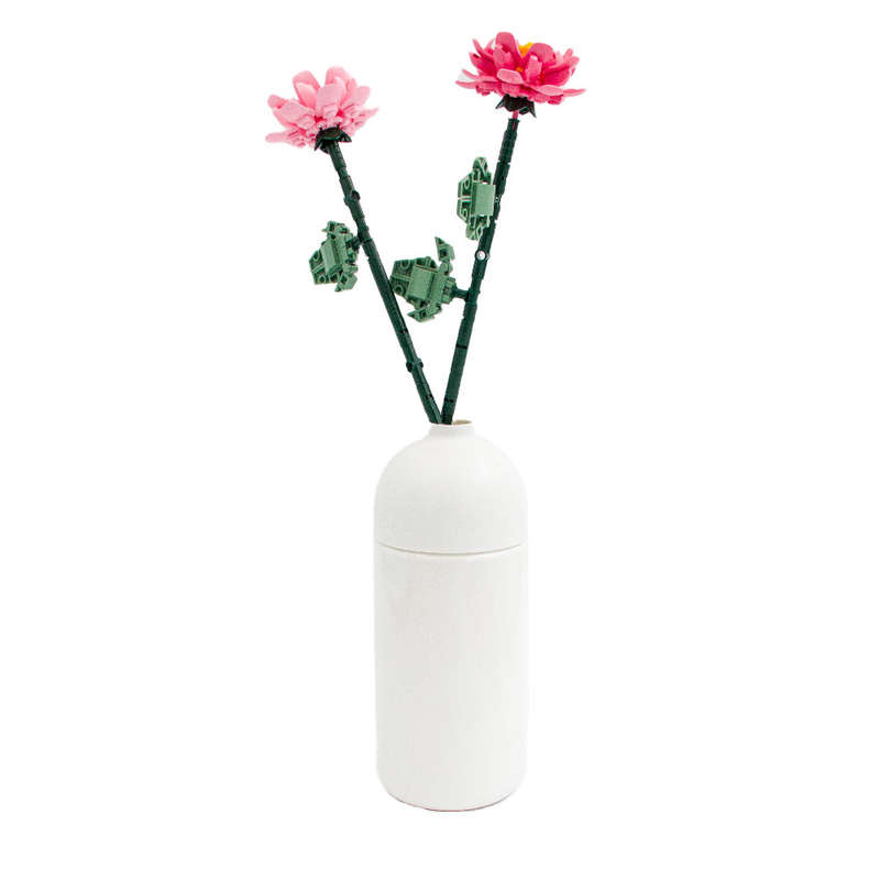 Sluban - Pleyerid - Flowers - Peonies - 224pcs