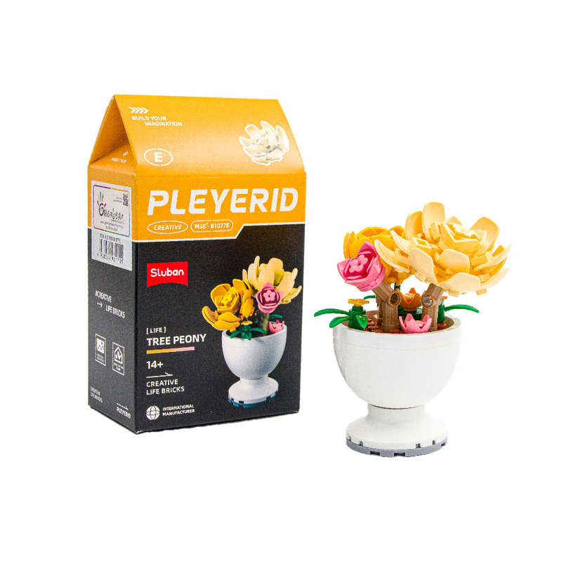 Sluban - Pleyerid - Potted Flowers