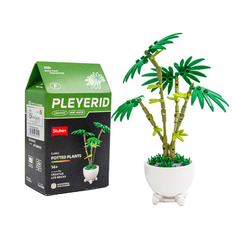 Sluban - Pleyerid - Potted Plants