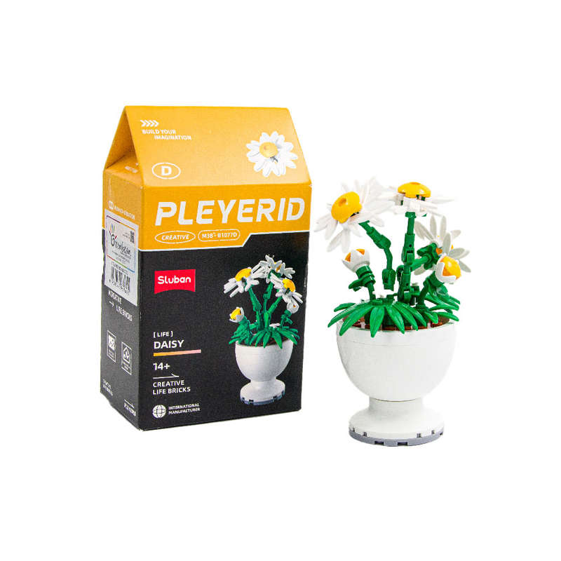 Sluban - Pleyerid - Potted Flowers