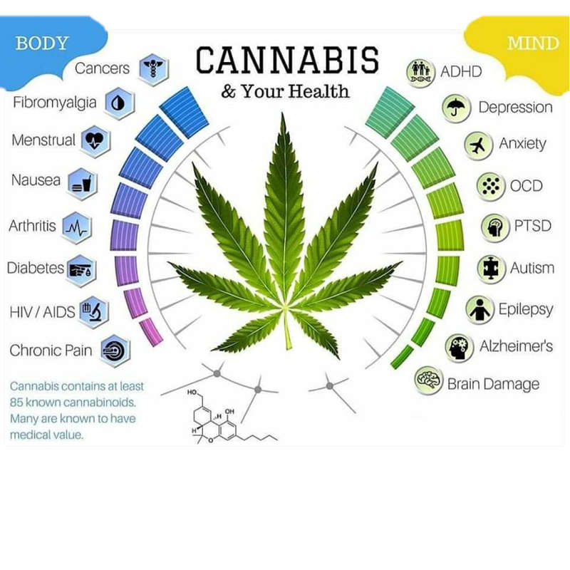 GQC Pure Canna 200mg CBD Oil (30ml dropper)