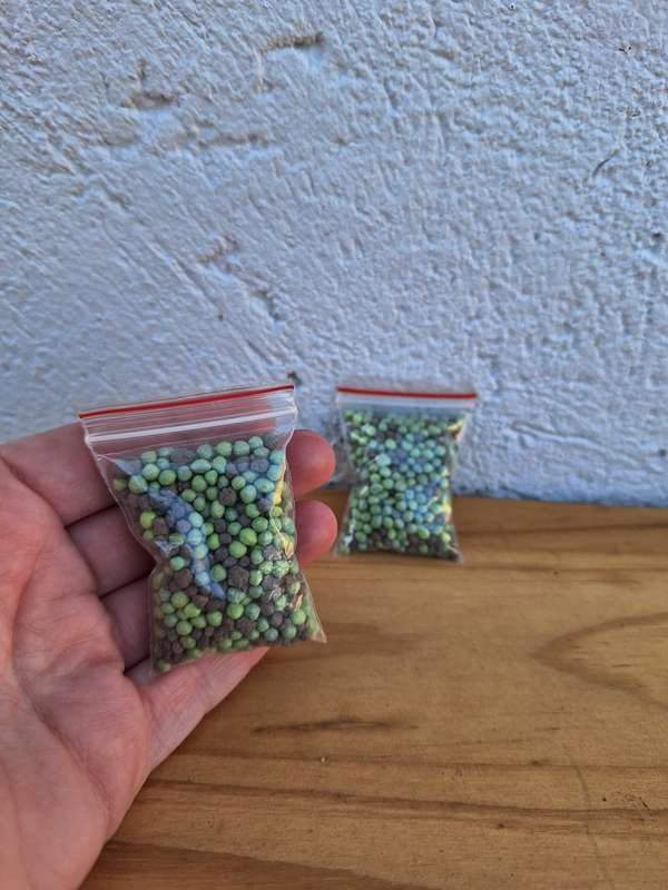 Slow-Release 12-Month Fertilizer