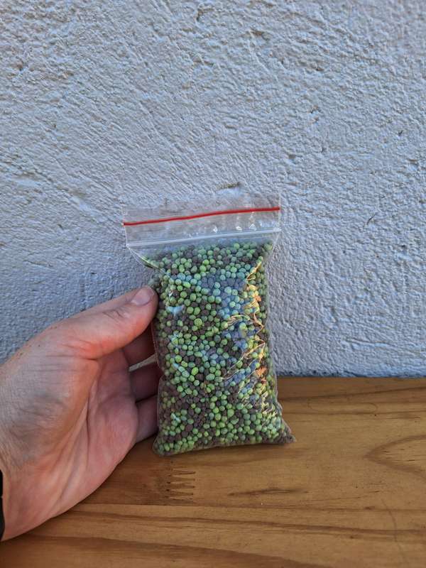 Slow-Release 12-Month Fertilizer