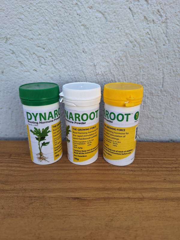 Dynaroot Rooting Hormone