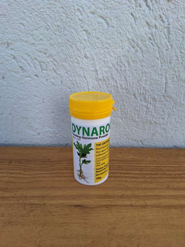 Dynaroot Rooting Hormone