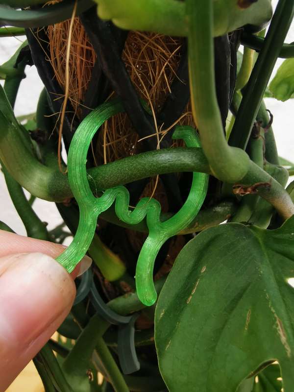 Green Plant Clips (Set of 6)