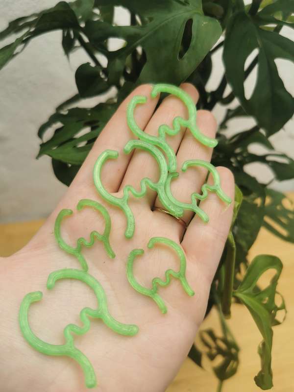 Green Plant Clips (Set of 6)