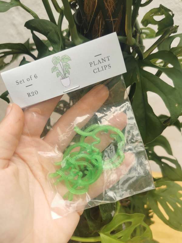 Green Plant Clips (Set of 6)