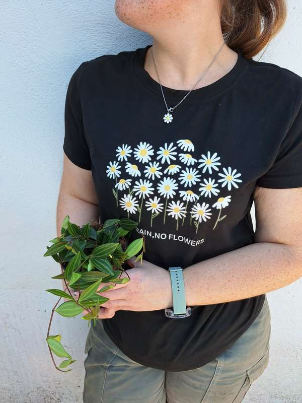 Beetle Peperomia  (Peperomia Angulata/Quadrangularis)