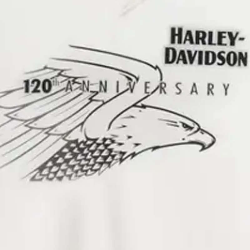 Womens 120th Anniversary United V-Neck Tee - XL