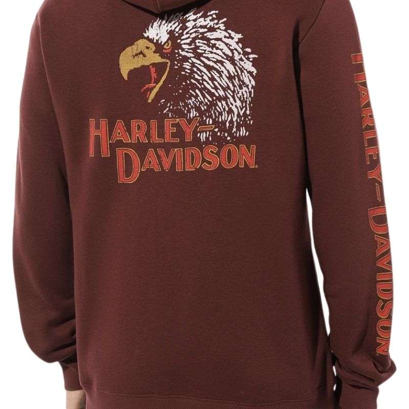 Men's Classic Eagle Zip-Up Hoodie - S