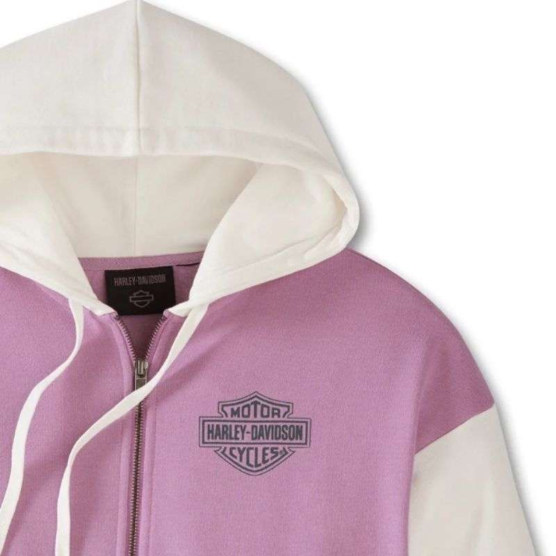 Women's Special Racer Front Zip Front Hoodie - Colorblocked - Lavender Herb - S