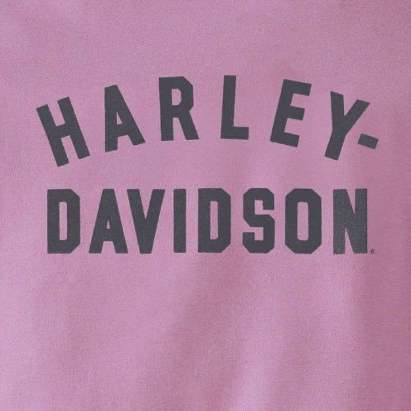 Women's Special Racer Front Zip Front Hoodie - Colorblocked - Lavender Herb - S