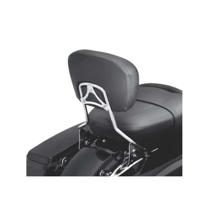 Detachables Sissy Bar Upright