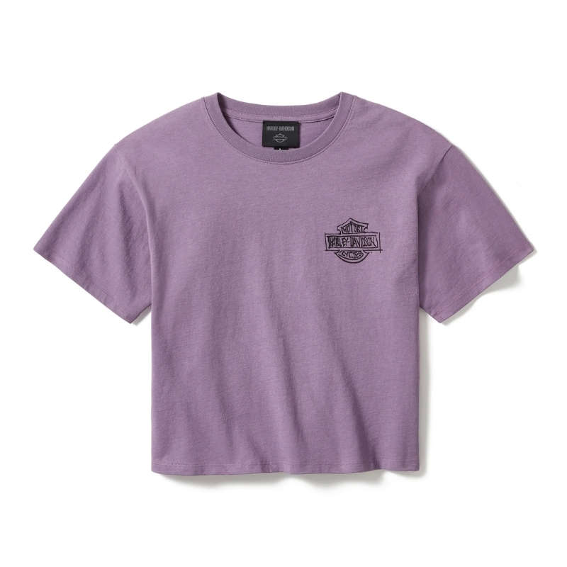 In the Wind Rider Sketch Art Boxy Tee - XS