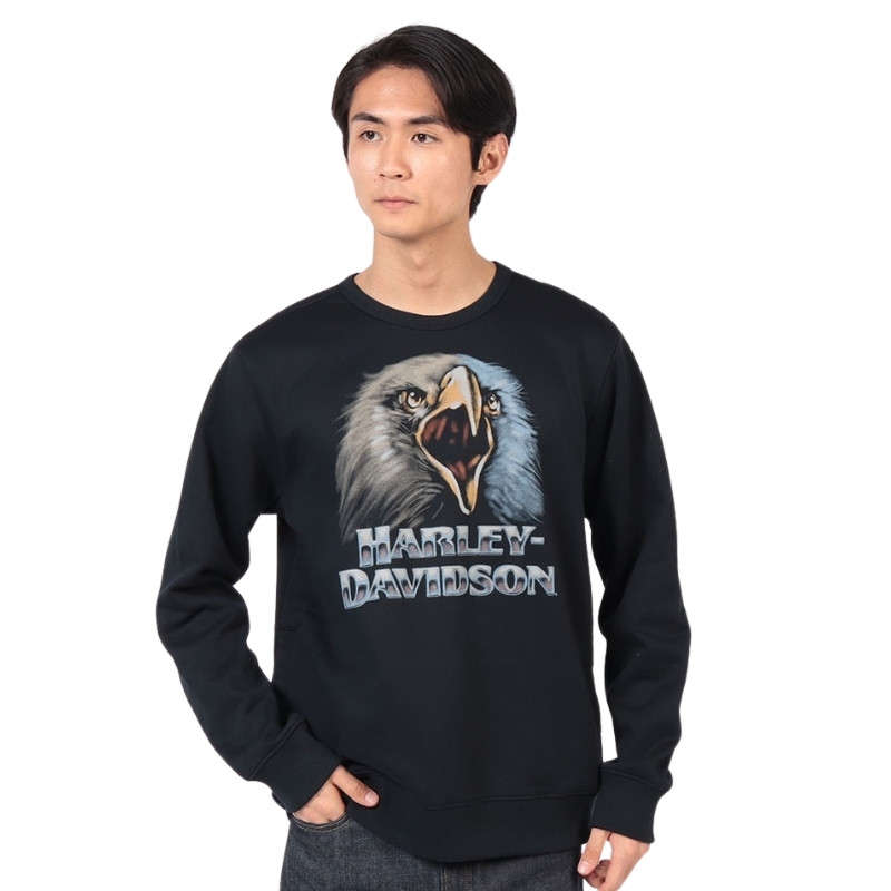 Men's Shadow Bird Crew Neck Sweatshirt - 4XL