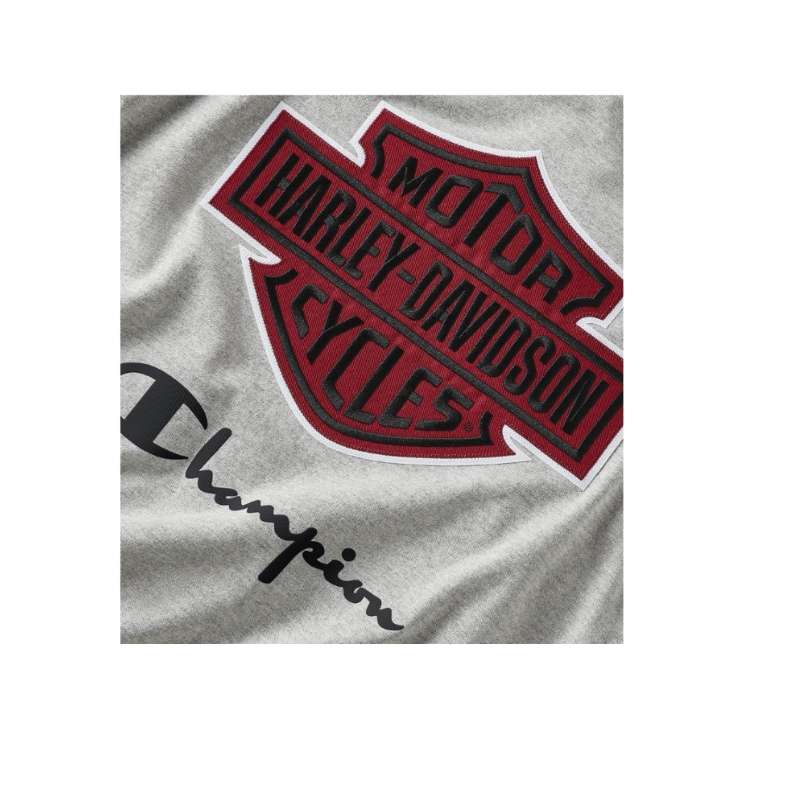 Champion Fanatic Tee - M