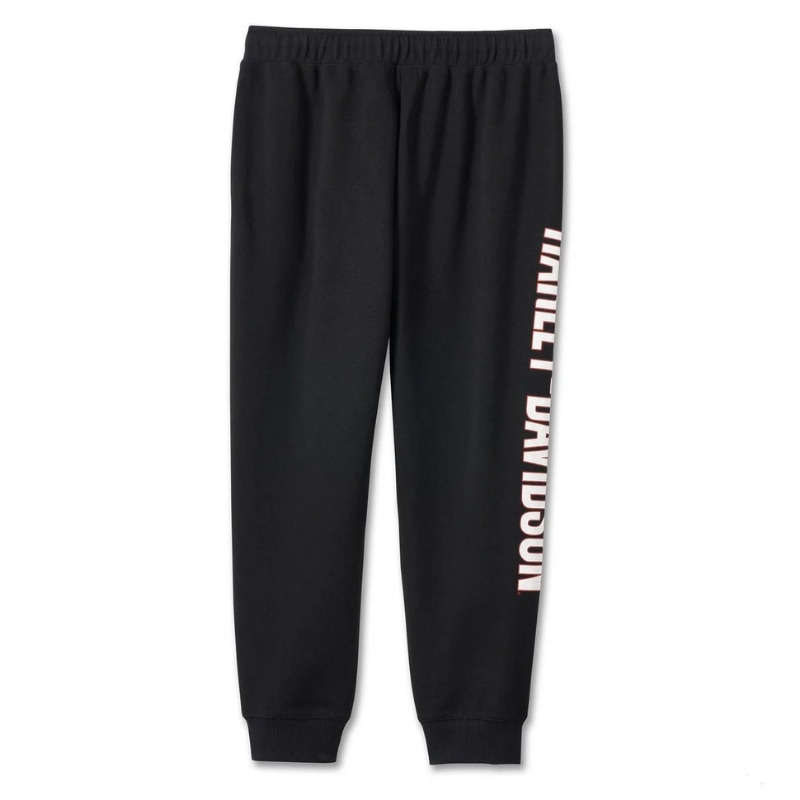 Men's Sweatpants - XL