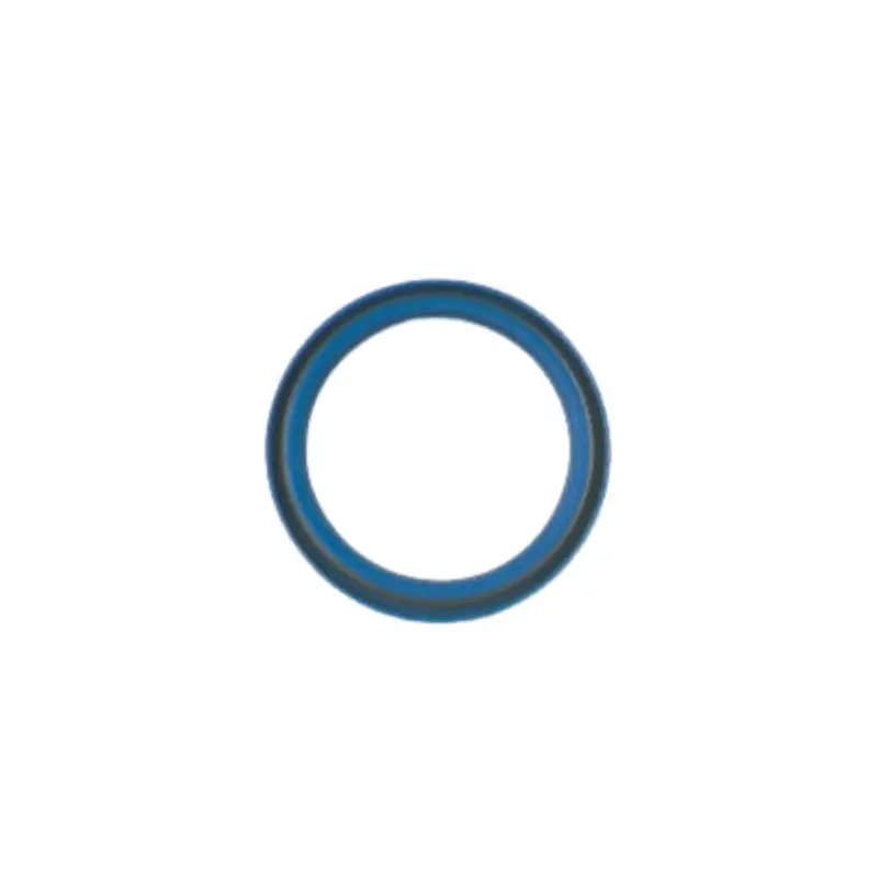 Oil Seal