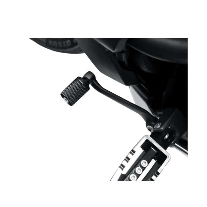 Wild One Shifter Peg