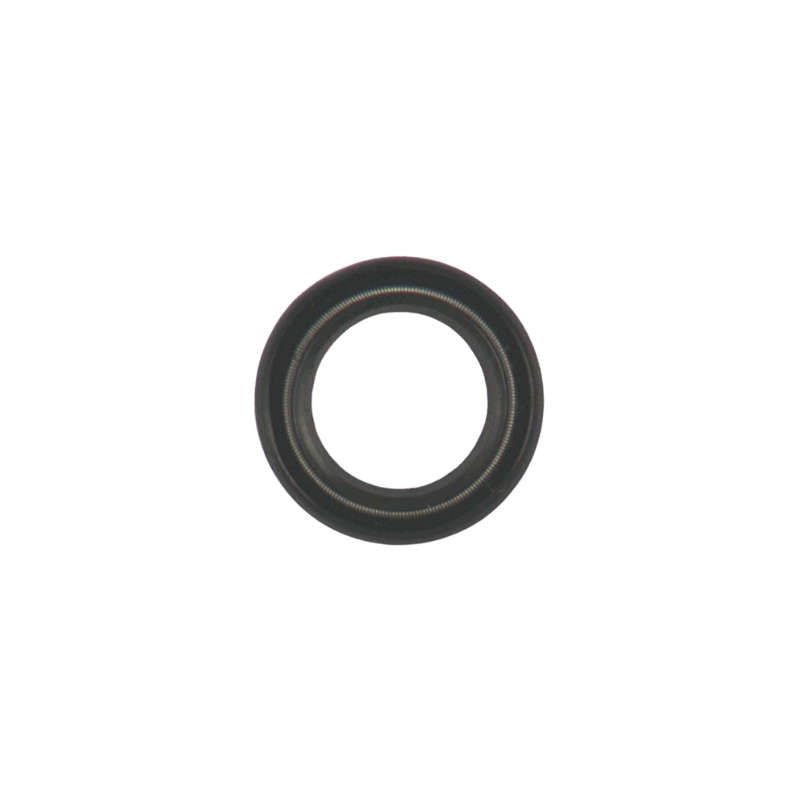 Oil Seal