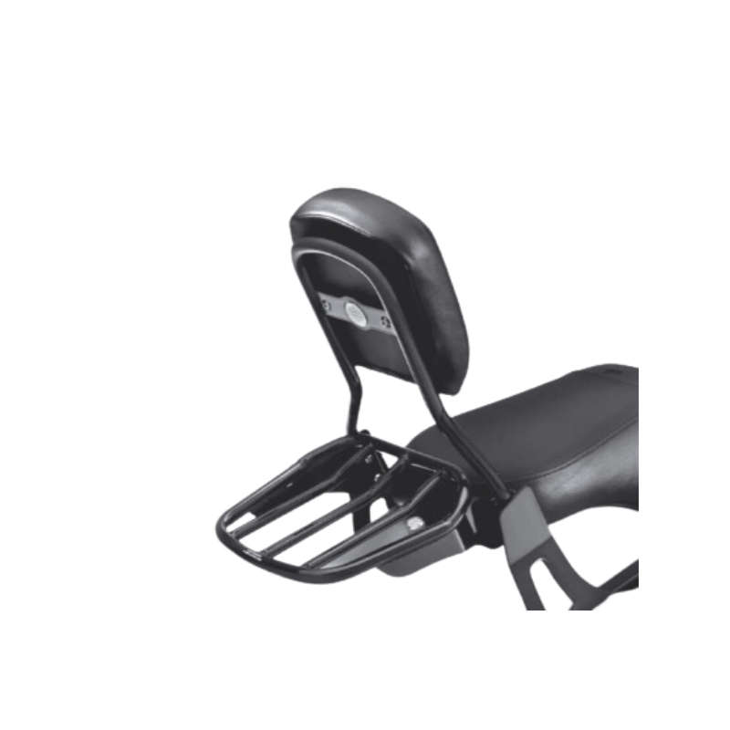 Standard Mini-Medallion Style Sissy Bar Upright