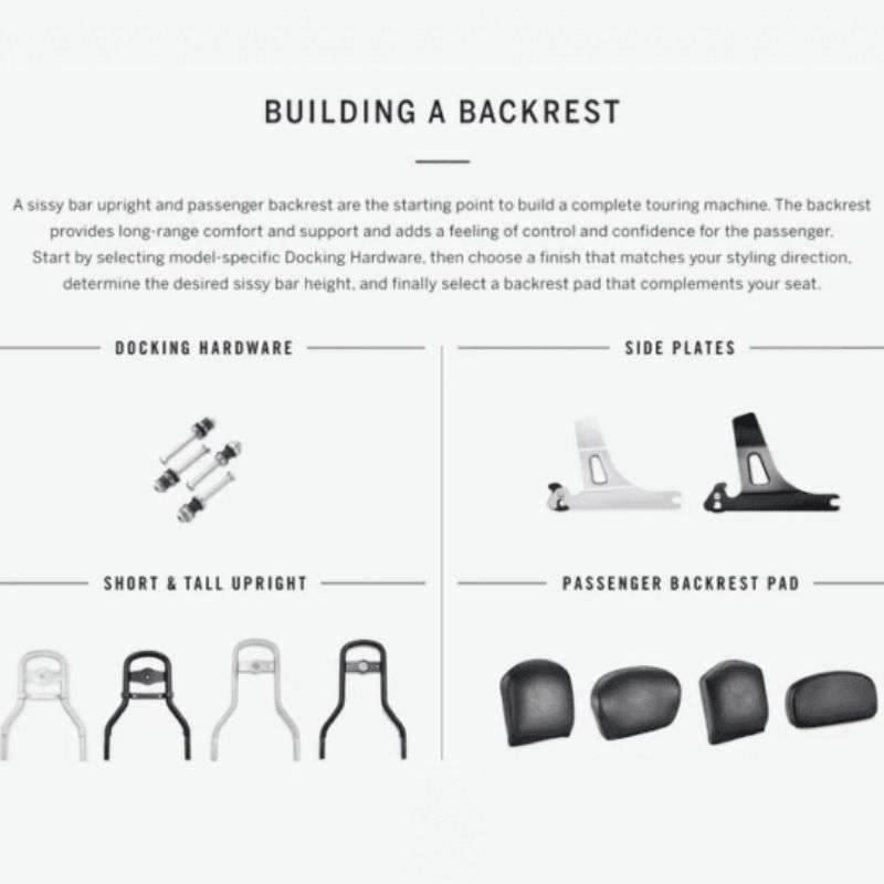 Standard Mini-Medallion Style Sissy Bar Upright