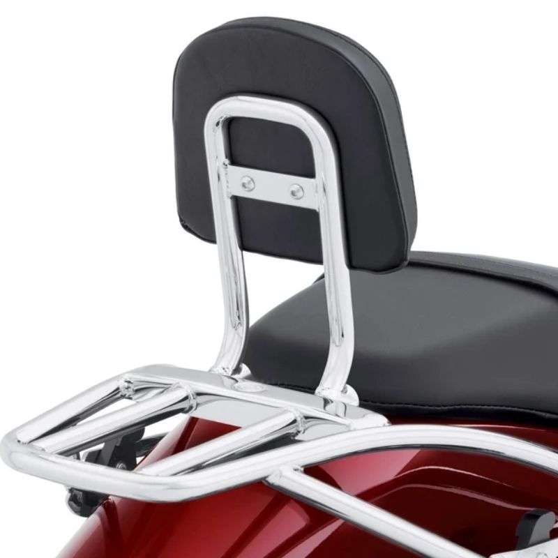 Sissy Bar Upright