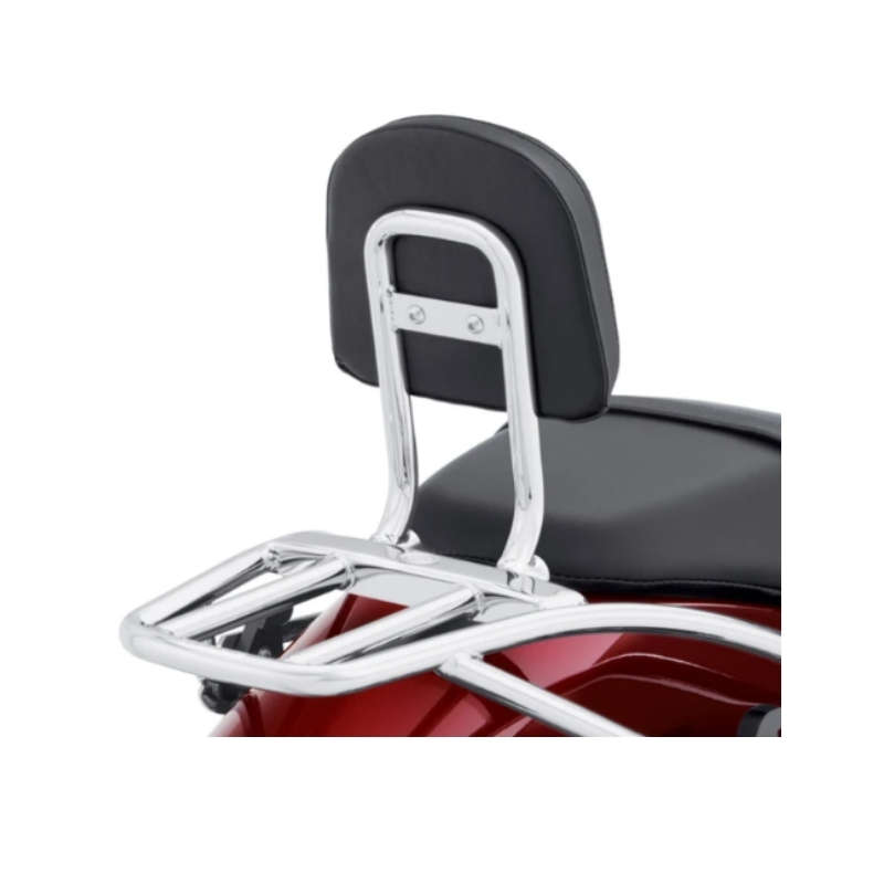 Sissy Bar Upright