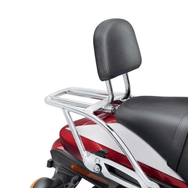Sissy Bar Upright