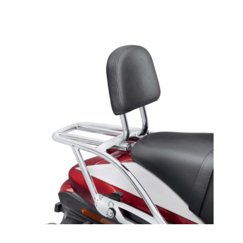 Sissy Bar Upright