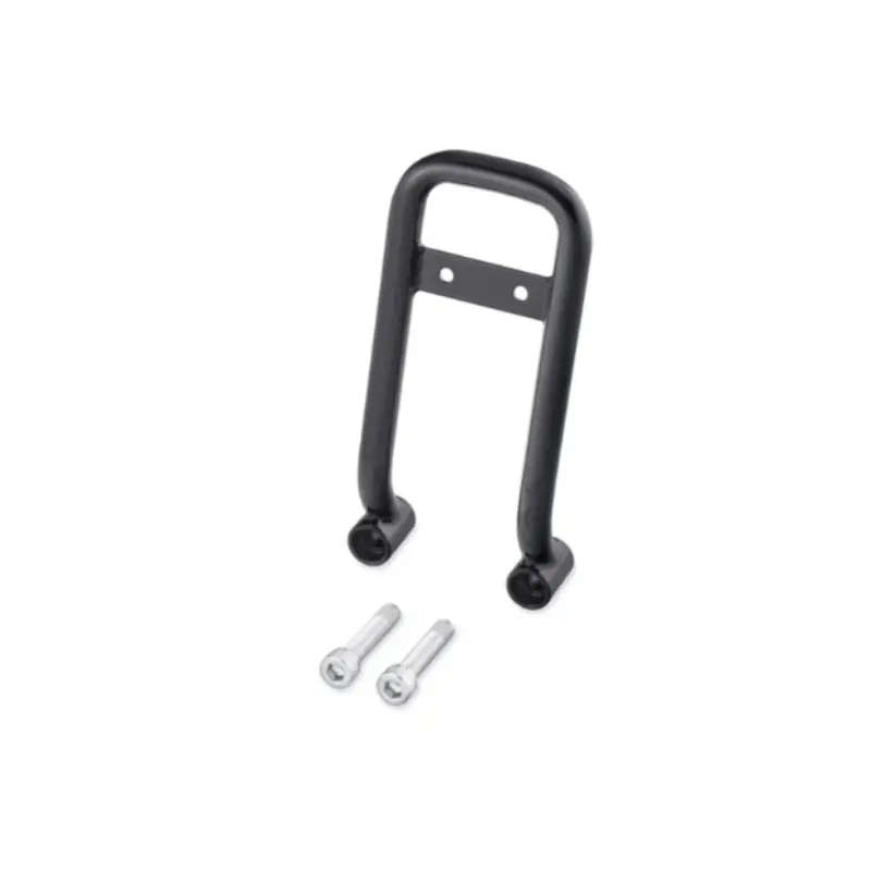Sissy Bar Upright