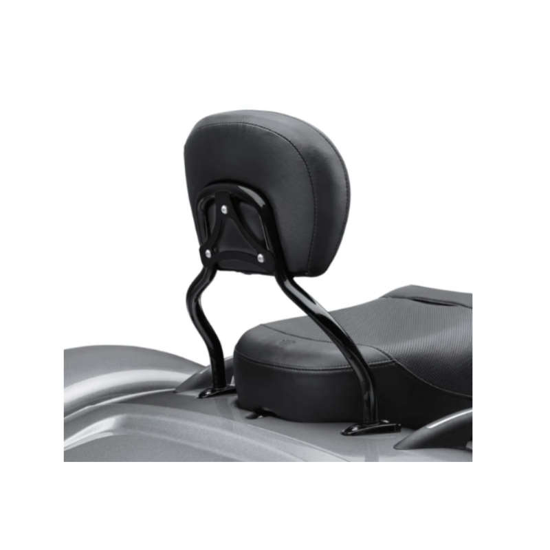 Quick-Release Sissy Bar Upright