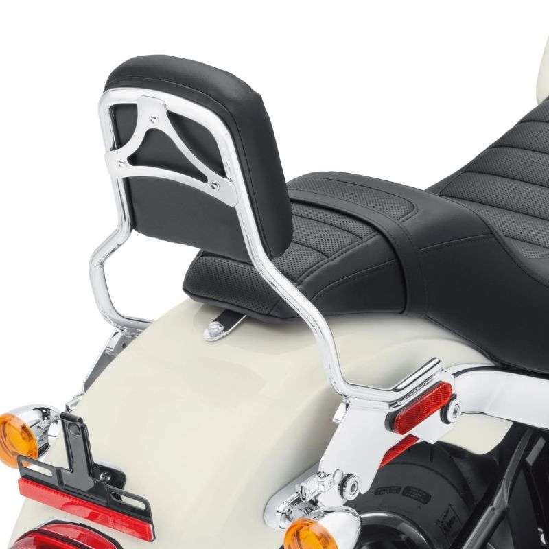 HoldFast Sissy Bar Upright - Standard Height - Chrome