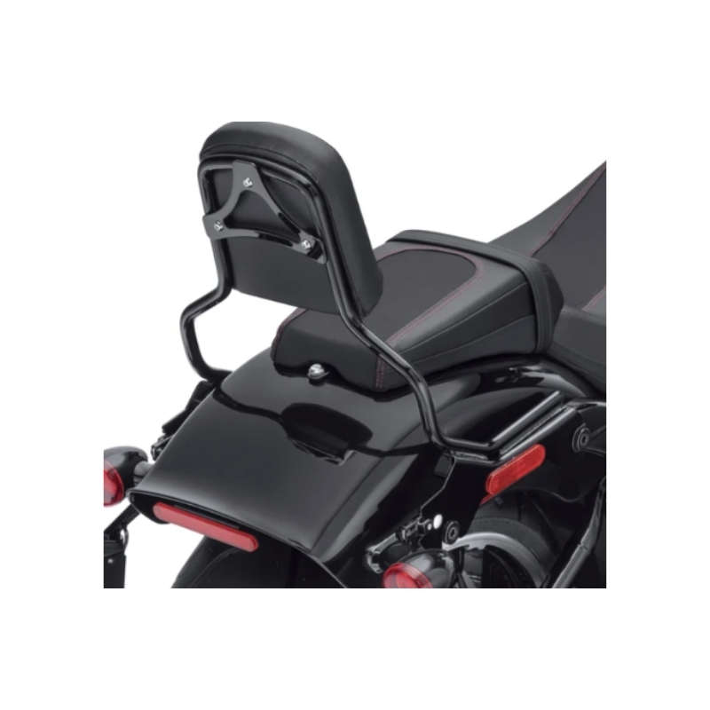 HoldFast Sissy Bar Upright - Standard Height