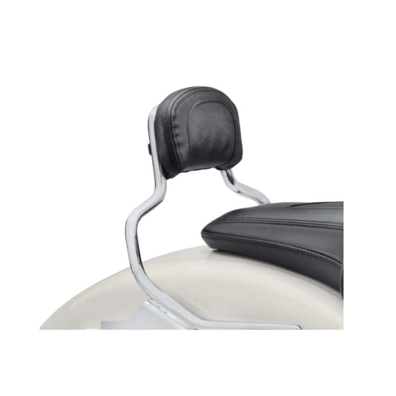 Passenger Backrest Pad - Compact