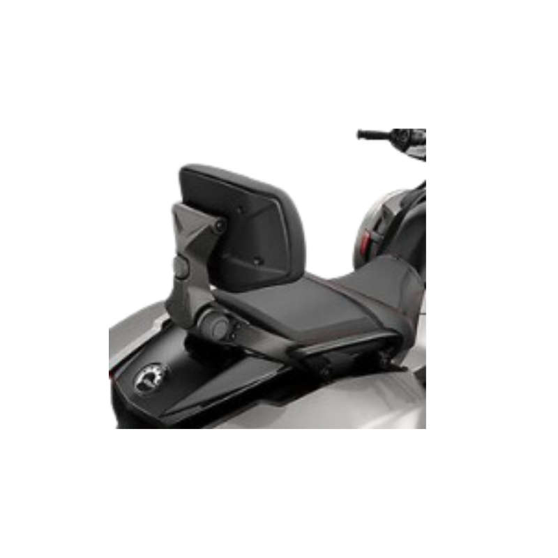 Short Rail Sissy Bar Upright