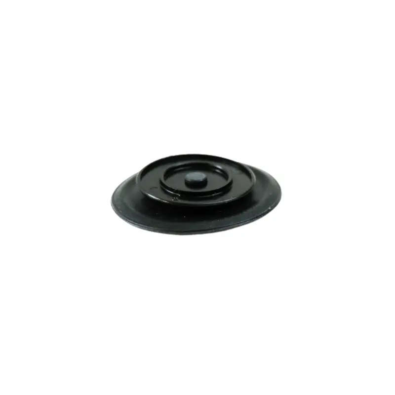 Diaphragm Service Kit Fuel Valve