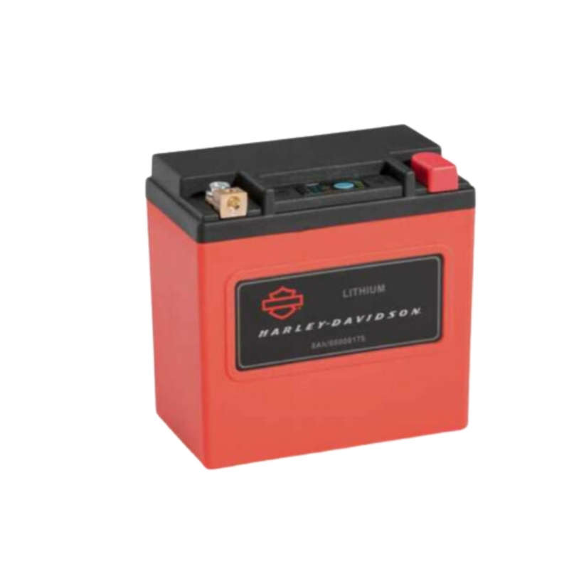 Lithium LiFe 8Ah Battery